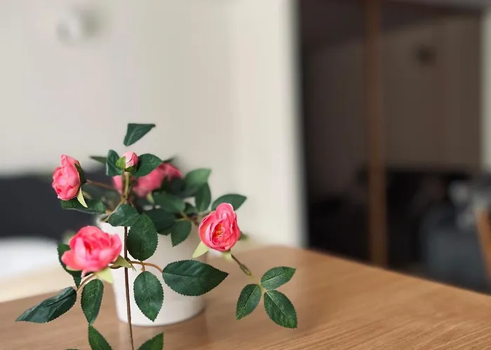 Everysky - 1 Go Maja 35a-35b *